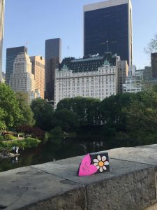 Art Drop in NYC Central Park